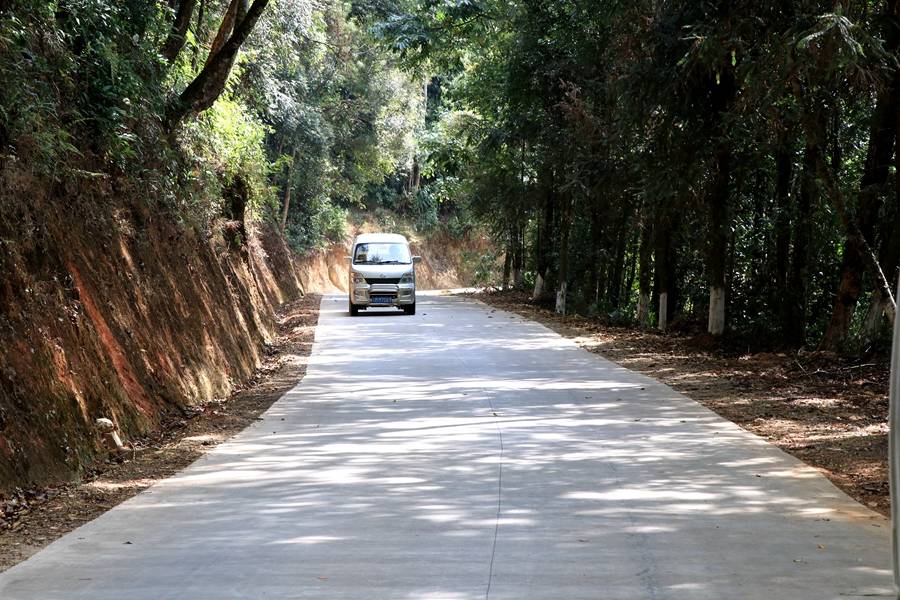 乡村道路.JPG