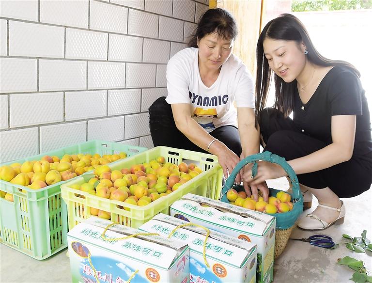 临夏州东乡县举行唐汪杏子采摘月系列活动启动仪式