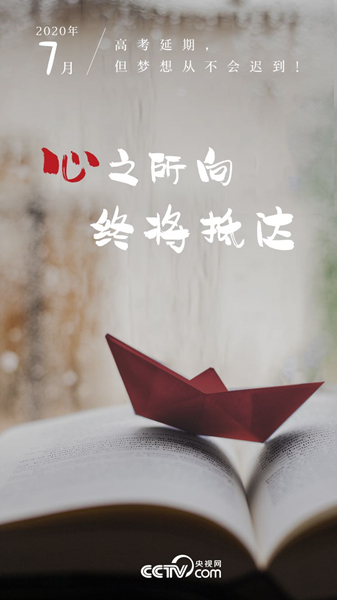 图片来源：央视网