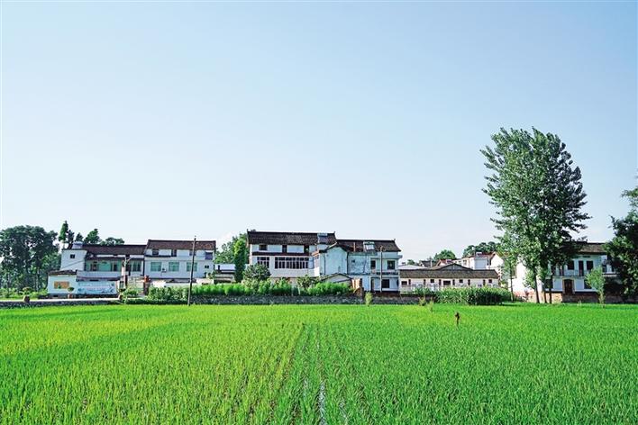 “美丽乡村·文明家园”建设在陕西智果村里“种”文化