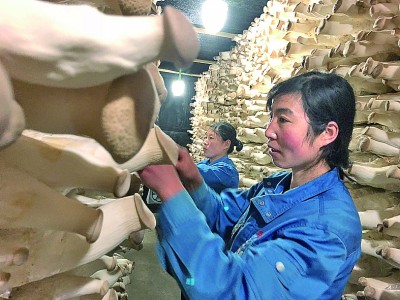 市场为媒,山海携手谱新篇 市场为媒,山海携手谱新篇