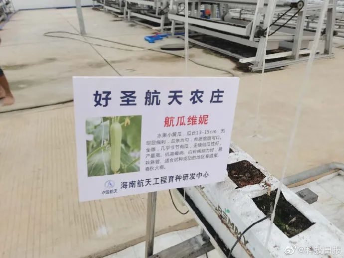 大海之南,喜看老乡奔小康