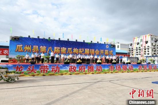 7月17日，甘肃省酒泉市瓜州县第八届蜜瓜枸杞展销会开幕。　魏金龙 摄