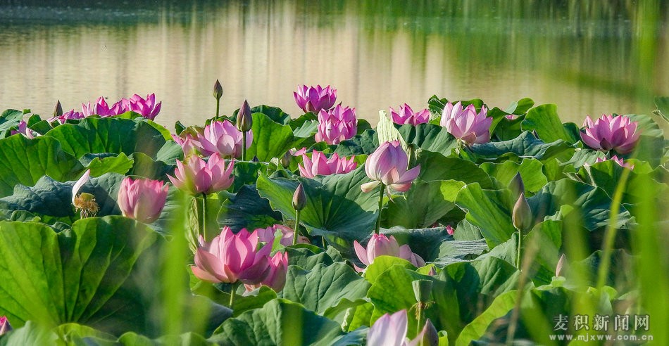 DSCN25421.jpg
