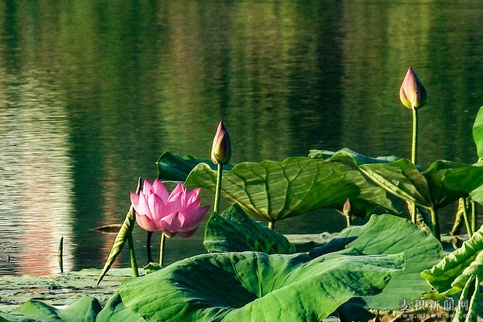 DSCN25601.jpg