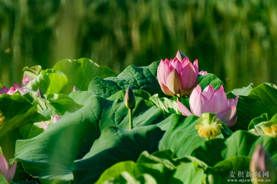 DSCN25821.jpg