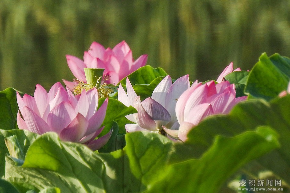 DSCN25831.jpg