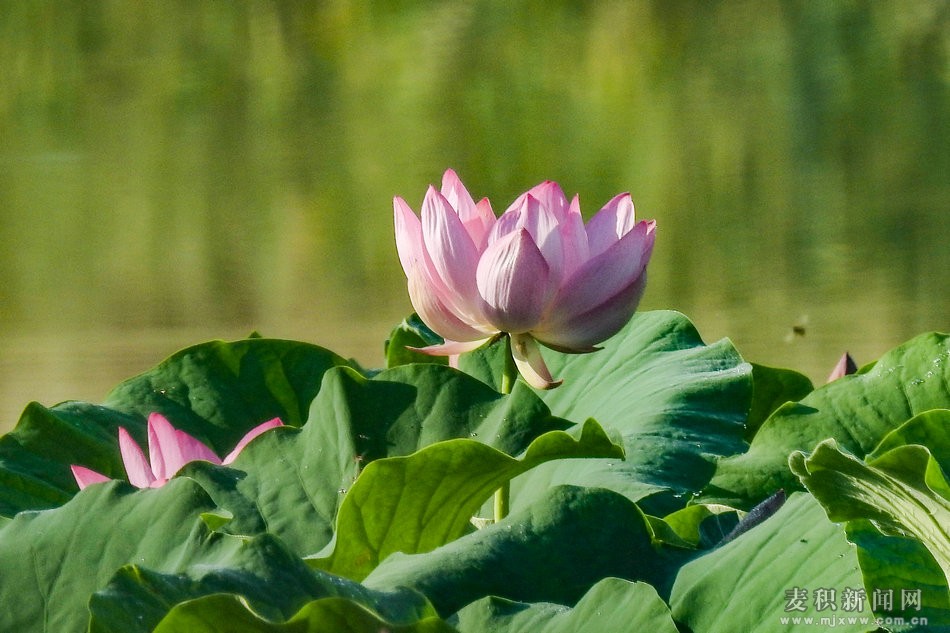 DSCN25861.jpg