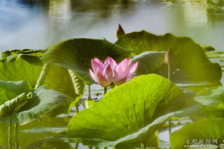DSCN25961.jpg