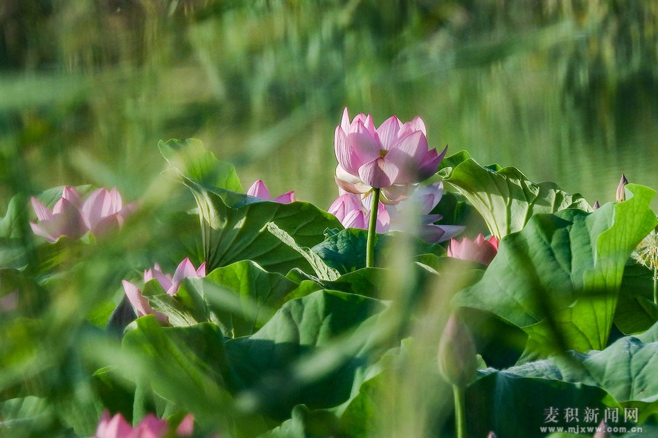DSCN25981.jpg