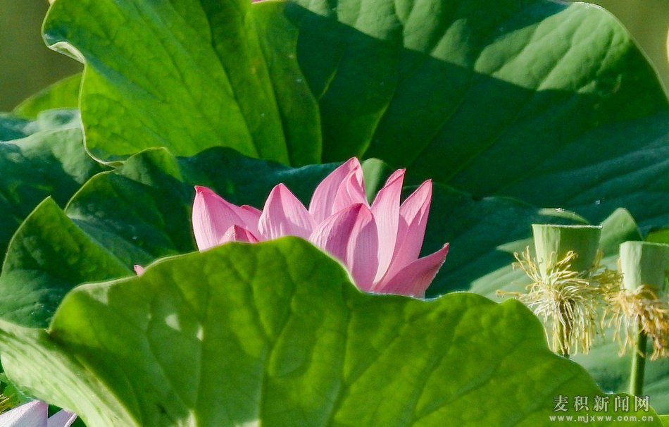 DSCN26041.jpg
