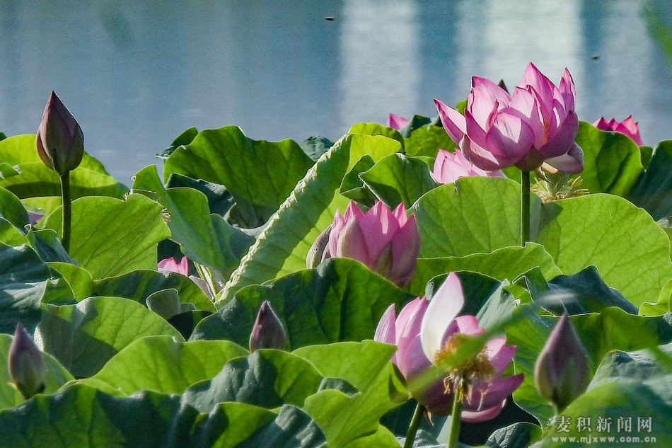 DSCN26121.jpg