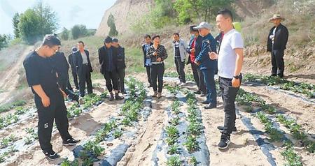 让千家万户端稳饭碗——定西市安定区稳就业保民生见闻