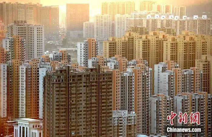 青秀区 两新组织 经济总量_晓组织图片