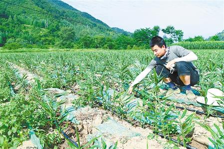 【走向我们的小康生活】安居乐业 幸福花开