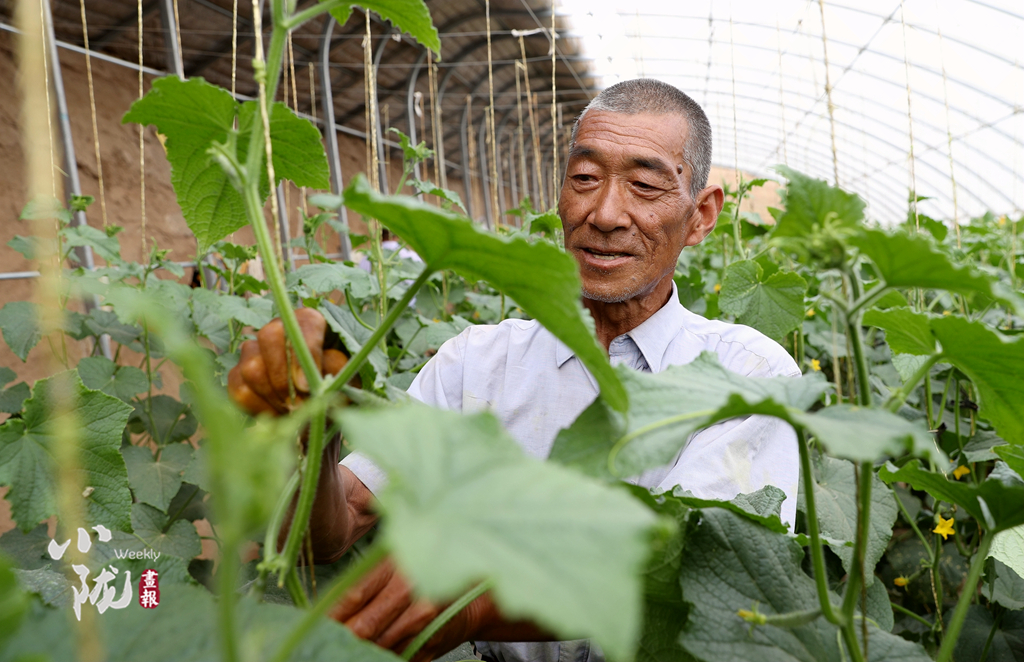 【小陇画报·100期】筑梦黄花滩：老照片里映过往 新生活中蕴未来