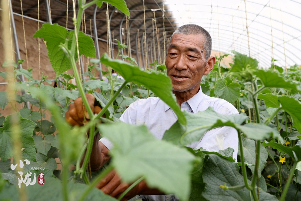 【小陇画报·100期】筑梦黄花滩：老照片里映过往 新生活中蕴未来