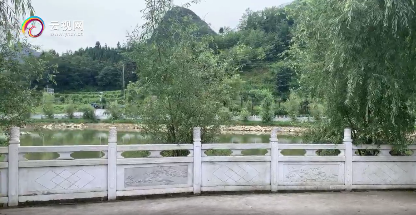 1597367831909570.png 图片5.png