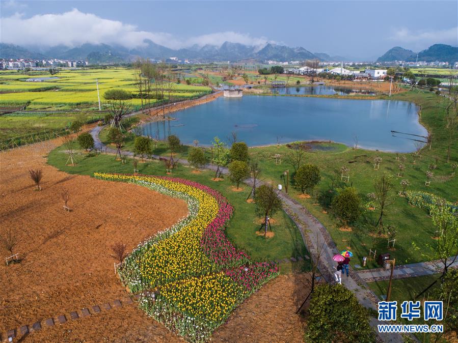 （新华全媒头条·图文互动）（7）生态文明之光照耀美丽中国——写在绿水青山就是金山银山理念提出15周年之际