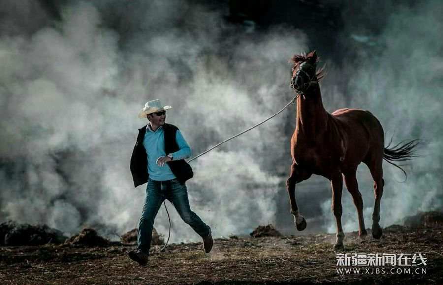 1597493286238.jpg?x-oss-process=style/w10