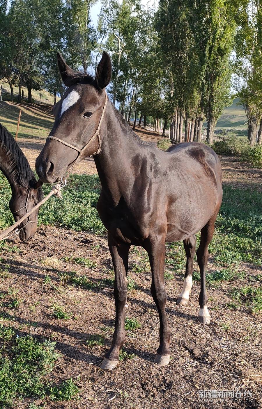 1597493132572.jpg?x-oss-process=style/w10