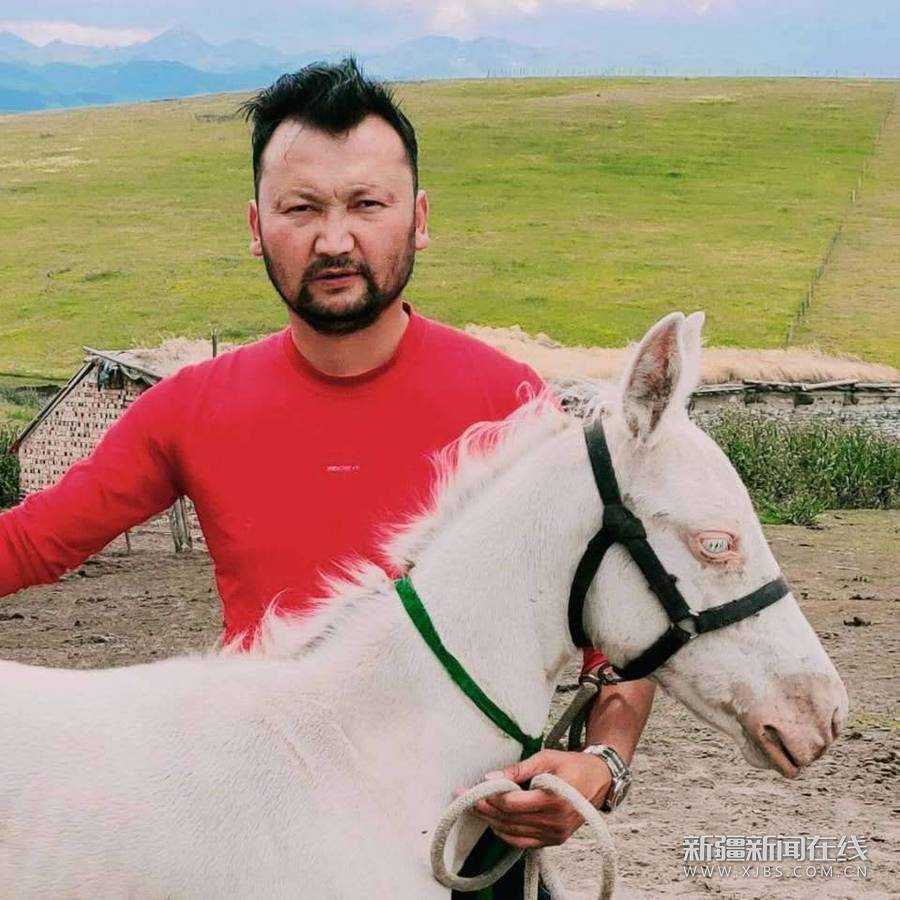 1597493236994.jpg?x-oss-process=style/w10