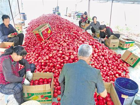 千里帮扶助脱贫 携手共进谱新篇