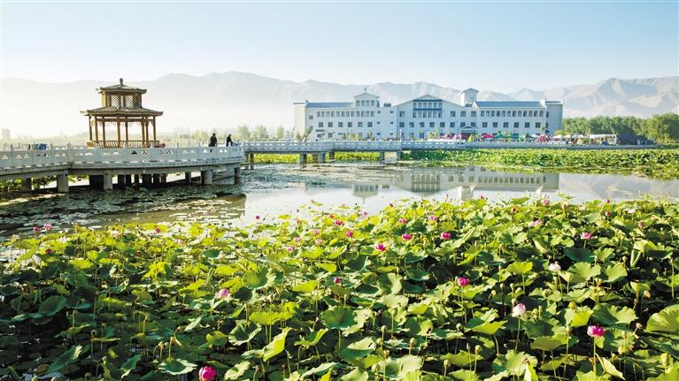 水面清圆风荷举 白银水川花意浓