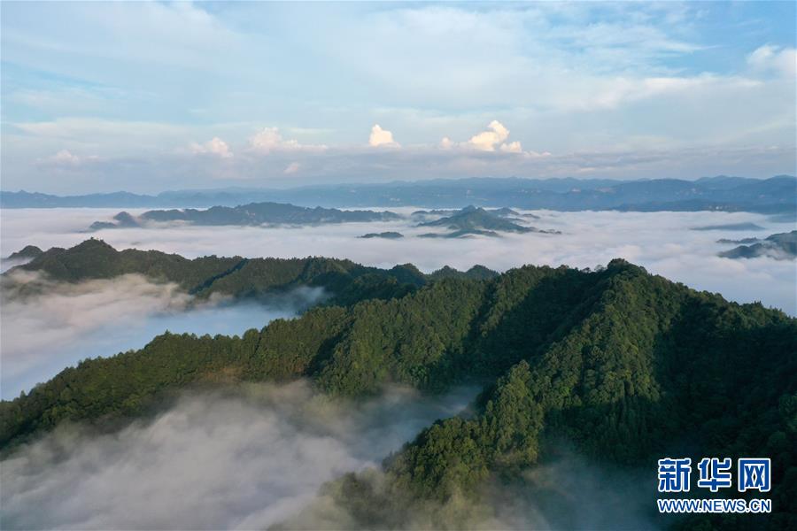 #（美丽中国）（3）湖北利川：云海似画卷