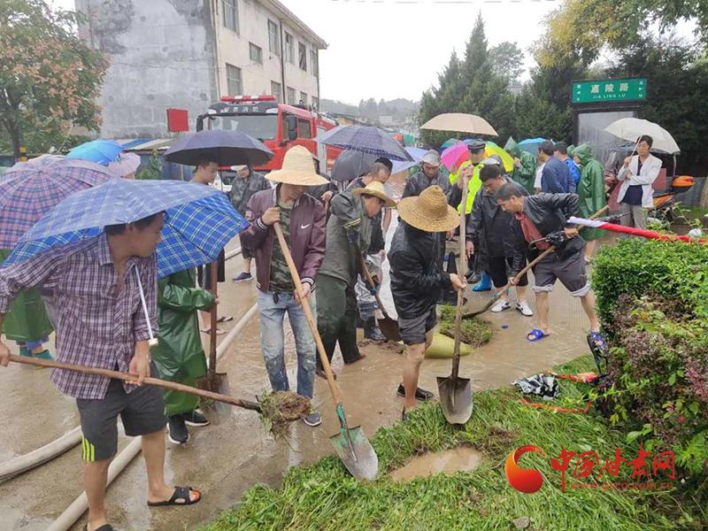 抗洪一线践初心——徽县水阳镇抗洪救灾工作纪实