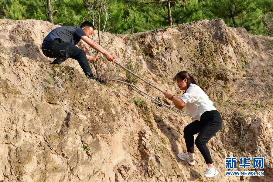 (新华全媒头条·图文互动)(5)黄土地上向阳花开——来自山西深度贫困地区的脱贫故事