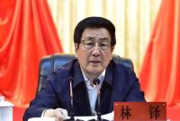 林铎：奋力夺取脱贫攻坚战全面胜利