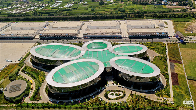 第三届药博会(7203038)-20200828070919_副本.jpg 第三届药博会(7203038)-20200828070919_副本.jpg