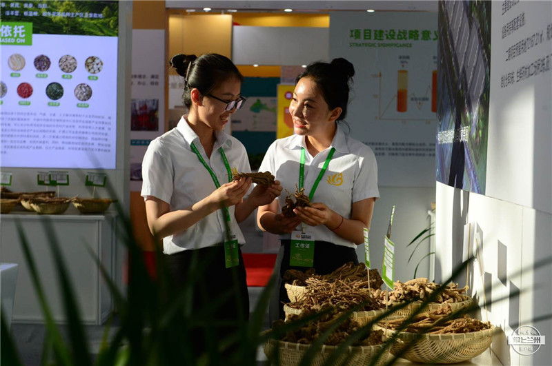 第三届药博会(7201560)-20200828070937_副本.jpg 第三届药博会(7201560)-20200828070937_副本.jpg