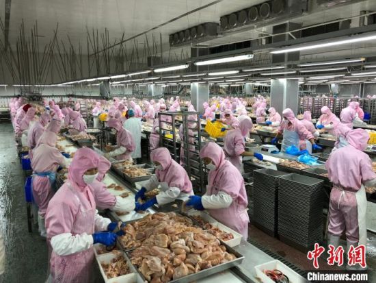 正在生产线上忙碌的工作人员。　于晶 摄