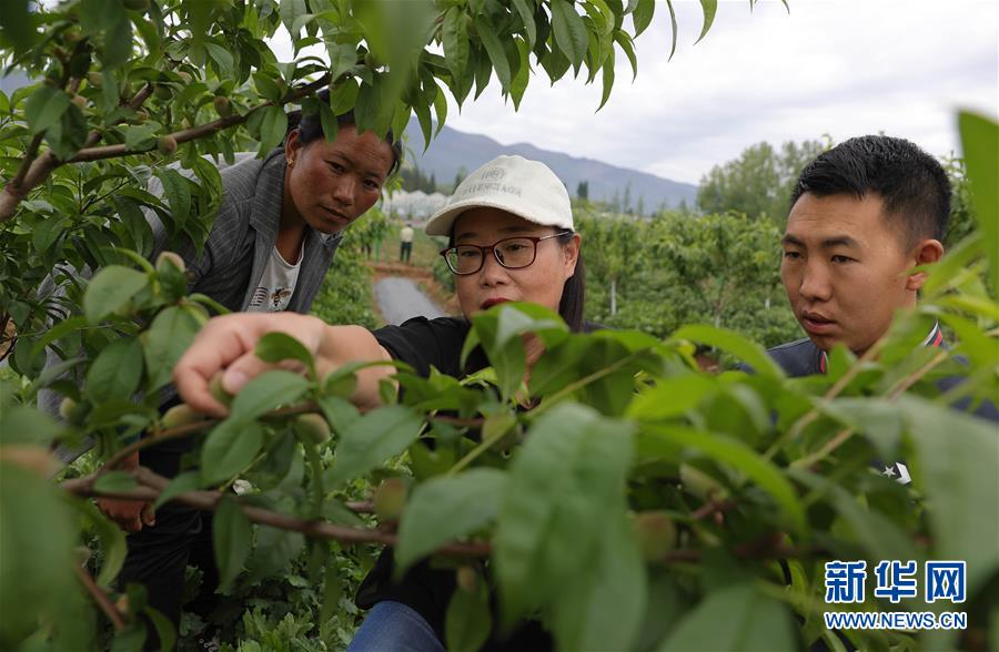 (决战决胜脱贫攻坚·督战未摘帽贫困县·图文互动)(3)12000多个“火种”点亮大凉山