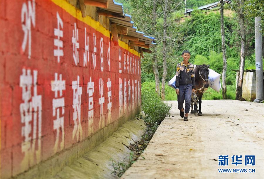 (新华全媒头条·决战决胜脱贫攻坚·督战未摘帽贫困县·图文互动)(6)苦荞花开大凉山——四川7个未摘帽县脱贫攻坚一线观察