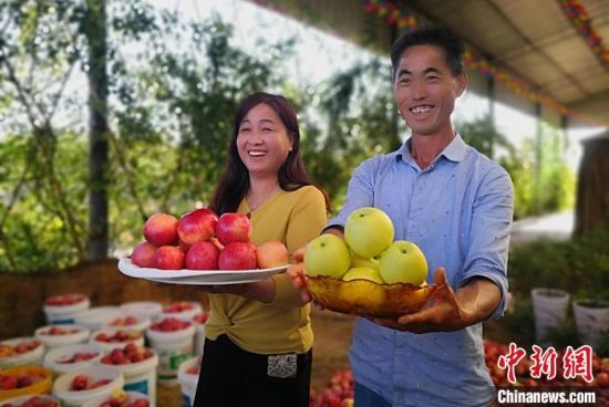图为张荣和妻子展示丰收的苹果。　刘玉桃 摄