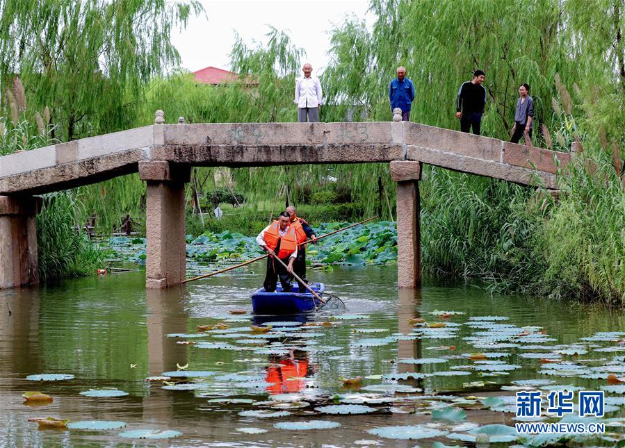 （社会）（3）浙江长兴：清洁水面 扮靓乡村