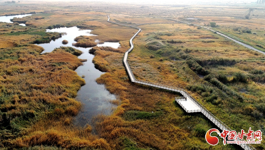 【直击嘉峪关变迁】保护一片湿地 润泽一座城市（图）