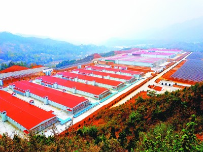 脱贫摘帽非终点 协作迎来新起步 脱贫摘帽非终点 协作迎来新起步