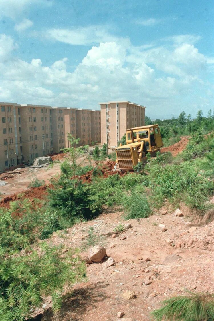 这个字的40年，是几代中国人的共同记忆