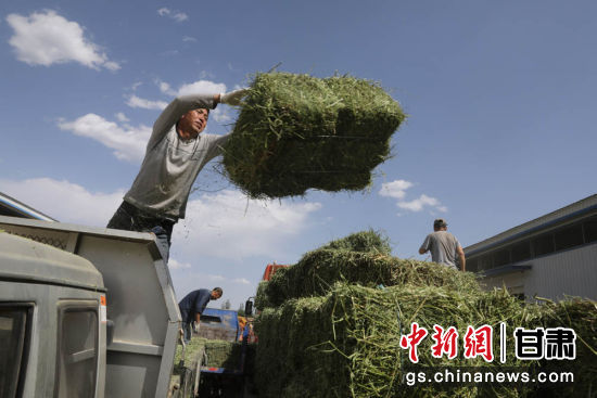 群众出售饲草。 李文 摄