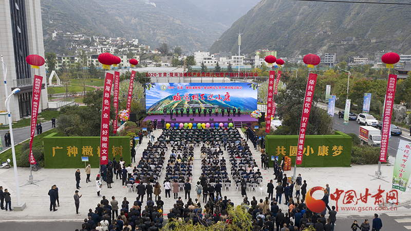 陇南：油橄榄种子经过太空遨游后回“娘家”