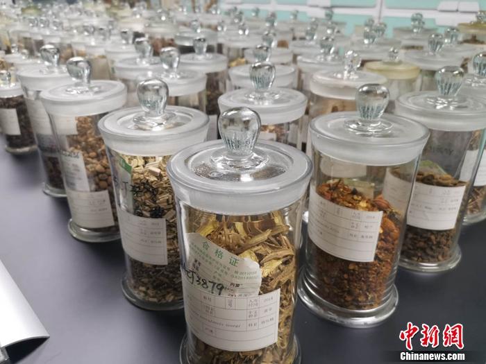 图为广西质检院中药材检测实验室内的壮药瑶药材标本。 谢艺观 摄 图为广西质检院中药材检测实验室内的壮药瑶药材标本。 谢艺观 摄