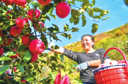 贯彻新发展理念 建设幸福美好新平凉