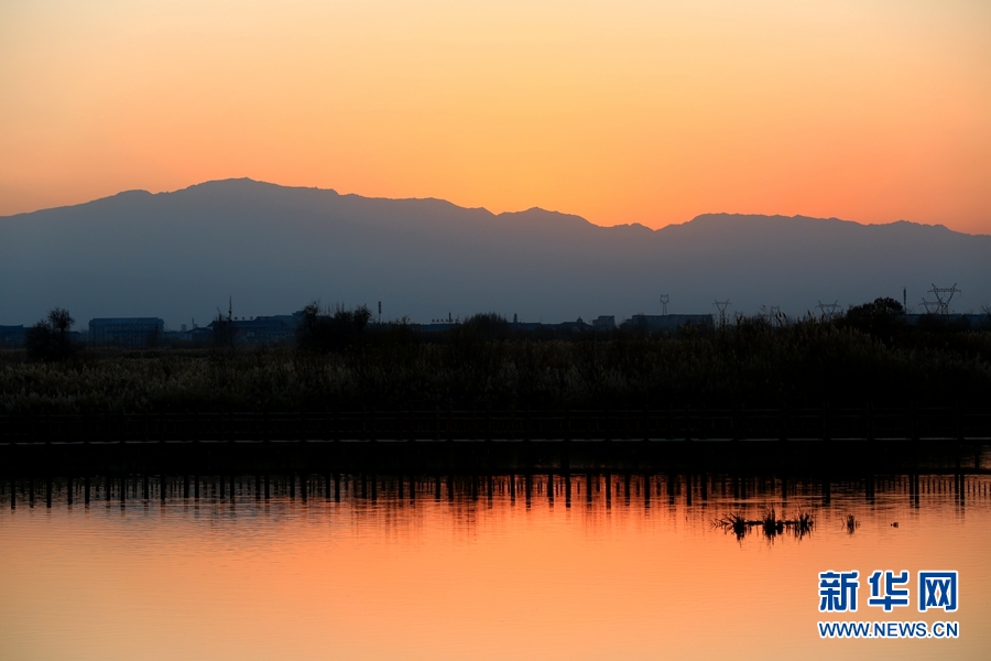 【大美甘肃】戈壁湿地夕照如画