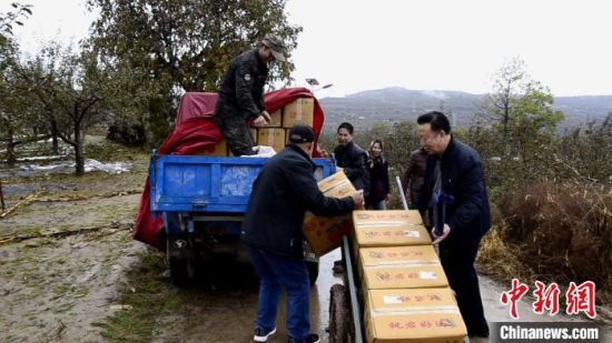 近日，甘肃平凉市静宁县余湾乡张沟村，工行帮扶队成员帮助农户搬苹果。　李亚龙 摄