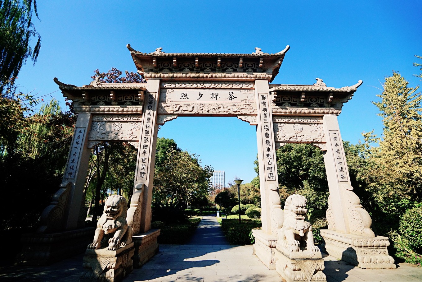 嘉兴的网红打卡地,一到秋天就美成画,游客都纷纷来拍照