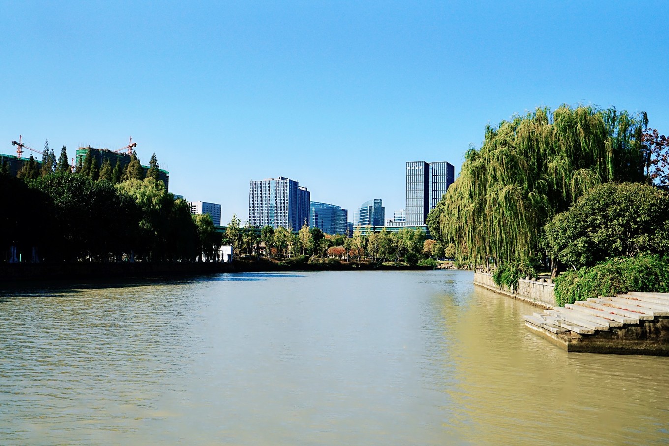 嘉兴的网红打卡地,一到秋天就美成画,游客都纷纷来拍照